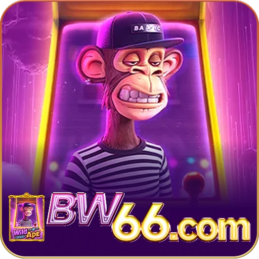 BW66.com